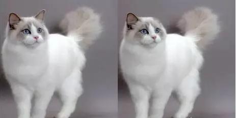 工業(yè)機(jī)器人智能化的秘密武器——機(jī)器視覺-機(jī)器視覺_視覺檢測設(shè)備_3D視覺_缺陷檢測