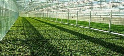 物聯(lián)網(wǎng)環(huán)境監(jiān)測傳感器設(shè)備的應(yīng)用-機(jī)器視覺_視覺檢測設(shè)備_3D視覺_缺陷檢測