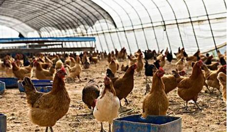 物聯(lián)網(wǎng)環(huán)境監(jiān)測傳感器設(shè)備的應(yīng)用-機(jī)器視覺_視覺檢測設(shè)備_3D視覺_缺陷檢測