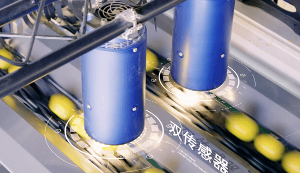 機(jī)器視覺技術(shù)與農(nóng)業(yè)自動(dòng)化-機(jī)器視覺_視覺檢測設(shè)備_3D視覺_缺陷檢測