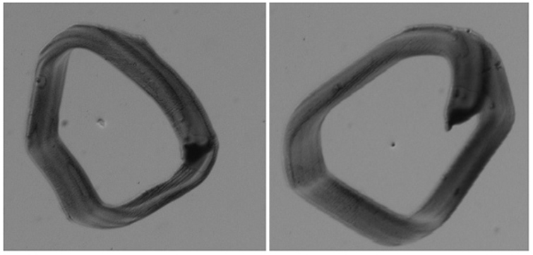 曲面屏表面瑕疵檢測，曲面屏外觀缺陷視覺檢測系統(tǒng)-機器視覺_視覺檢測設備_3D視覺_缺陷檢測