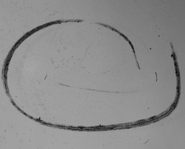 曲面屏表面瑕疵檢測，曲面屏外觀缺陷視覺檢測系統(tǒng)-機器視覺_視覺檢測設備_3D視覺_缺陷檢測