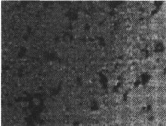 機(jī)器視覺滾動(dòng)軸承表面缺陷檢測(cè)應(yīng)用分析-機(jī)器視覺_視覺檢測(cè)設(shè)備_3D視覺_缺陷檢測(cè)