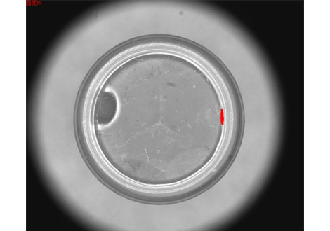 醫(yī)藥行業(yè)機器視覺檢測設備系統(tǒng)方案-機器視覺_視覺檢測設備_3D視覺_缺陷檢測