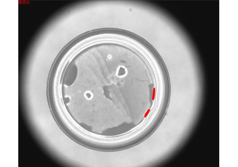 醫(yī)藥行業(yè)機器視覺檢測設備系統(tǒng)方案-機器視覺_視覺檢測設備_3D視覺_缺陷檢測