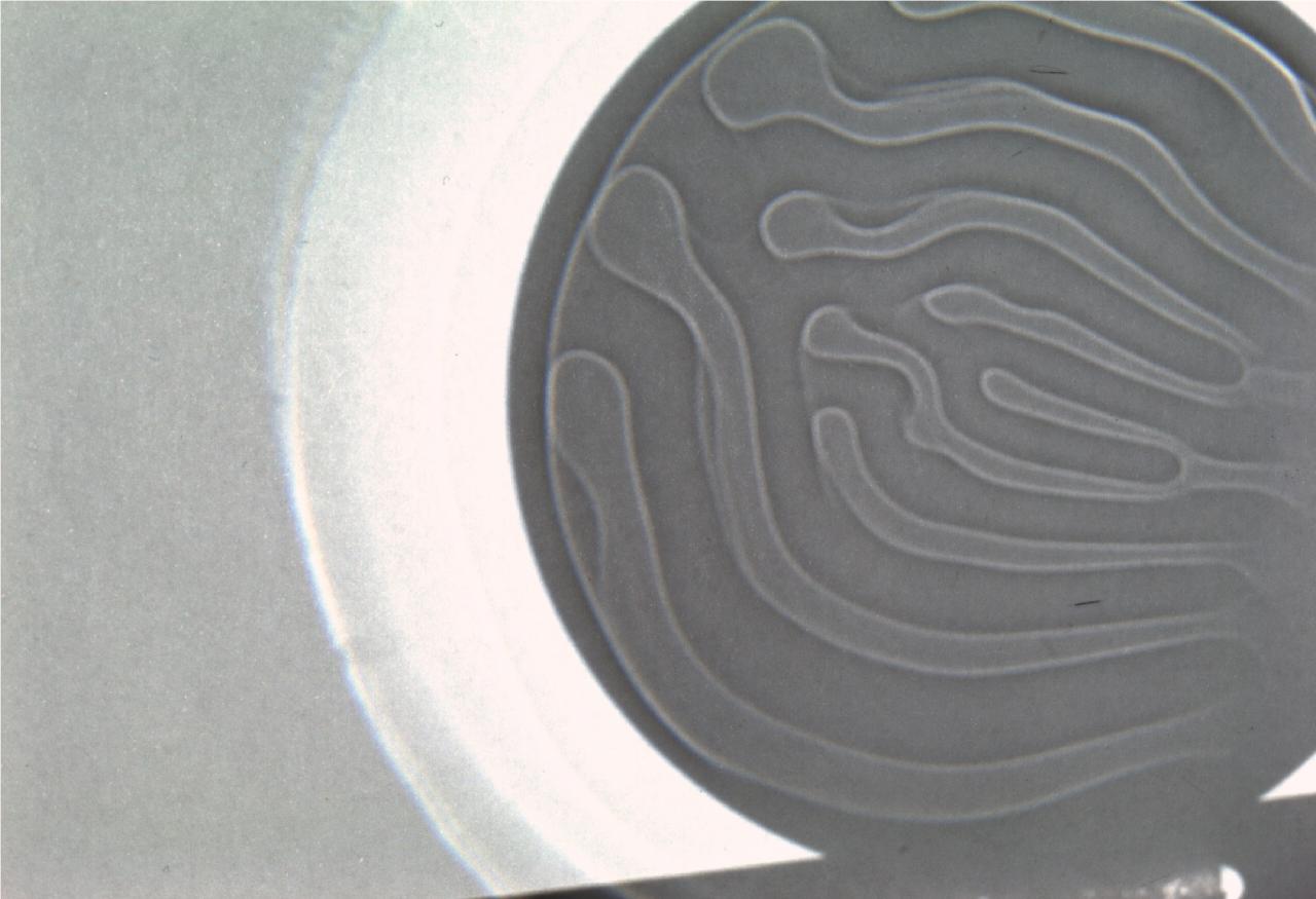 眼鏡片（瑕疵/劃傷/氣泡）深度學(xué)習(xí)視覺檢測(cè)系統(tǒng)-機(jī)器視覺_視覺檢測(cè)設(shè)備_3D視覺_缺陷檢測(cè)