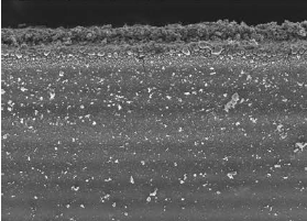 鋰離子電池生產(chǎn)現(xiàn)場(chǎng)異物管控-機(jī)器視覺(jué)_視覺(jué)檢測(cè)設(shè)備_3D視覺(jué)_缺陷檢測(cè)