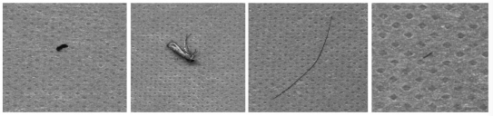 無(wú)紡布污點(diǎn)/異物檢測(cè)（機(jī)器視覺(jué)自動(dòng)檢測(cè)方案）-機(jī)器視覺(jué)_視覺(jué)檢測(cè)設(shè)備_3D視覺(jué)_缺陷檢測(cè)