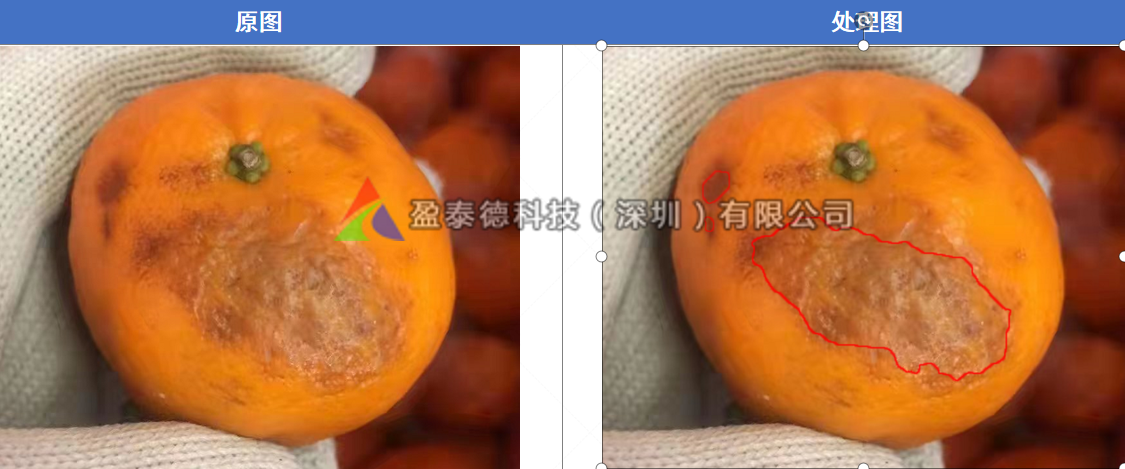 水果自動(dòng)篩選機(jī)（水果不良品機(jī)器視覺檢測(cè)方案）-機(jī)器視覺_視覺檢測(cè)設(shè)備_3D視覺_缺陷檢測(cè)