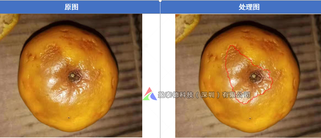 水果自動(dòng)篩選機(jī)（水果不良品機(jī)器視覺檢測(cè)方案）-機(jī)器視覺_視覺檢測(cè)設(shè)備_3D視覺_缺陷檢測(cè)