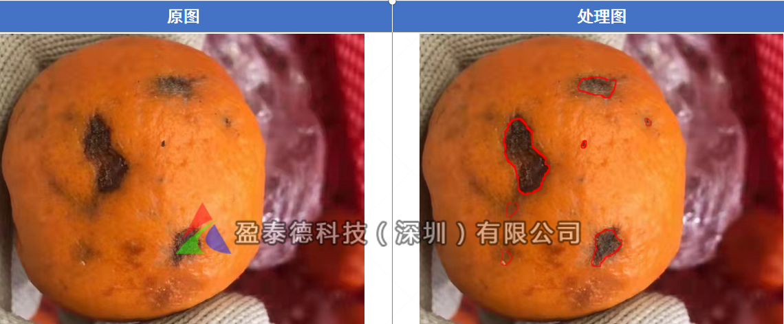 水果自動(dòng)篩選機(jī)（水果不良品機(jī)器視覺檢測(cè)方案）-機(jī)器視覺_視覺檢測(cè)設(shè)備_3D視覺_缺陷檢測(cè)