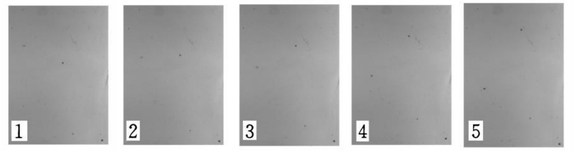 雜質(zhì)檢測(cè)（瓶裝白酒雜質(zhì)視覺(jué)檢測(cè)方案）-機(jī)器視覺(jué)_視覺(jué)檢測(cè)設(shè)備_3D視覺(jué)_缺陷檢測(cè)