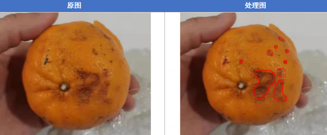 水果機(jī)器視覺檢測-機(jī)器視覺_視覺檢測設(shè)備_3D視覺_缺陷檢測