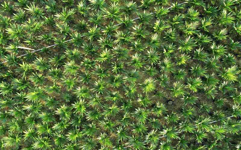 工業(yè)機器視覺在電子制造中的應(yīng)用實例有哪些