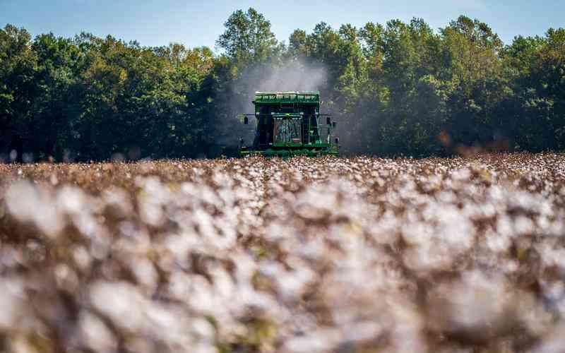 瑕疵檢測系統(tǒng)的實時監(jiān)控功能故障如何解決