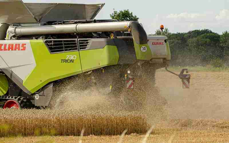 水果缺陷檢測、蔬菜檢測