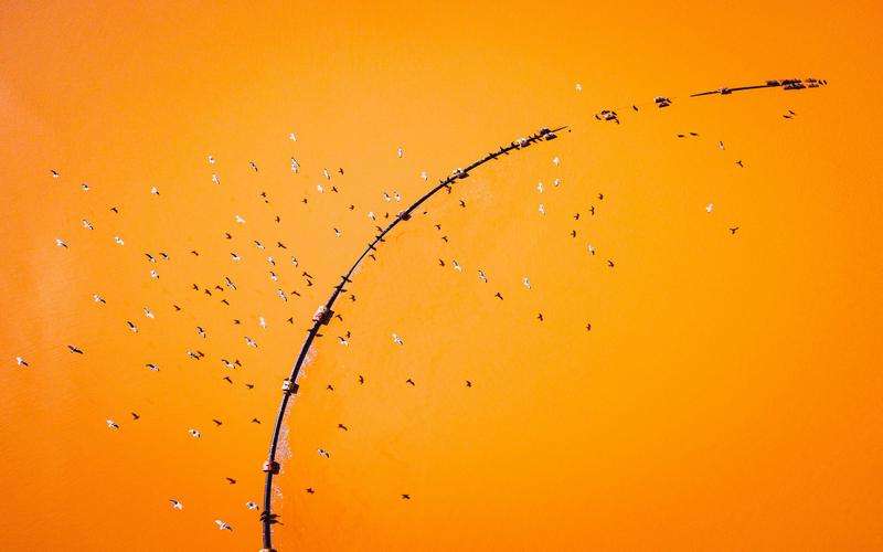 全自動外觀檢測機(jī)的調(diào)試流程及其對性能的影響