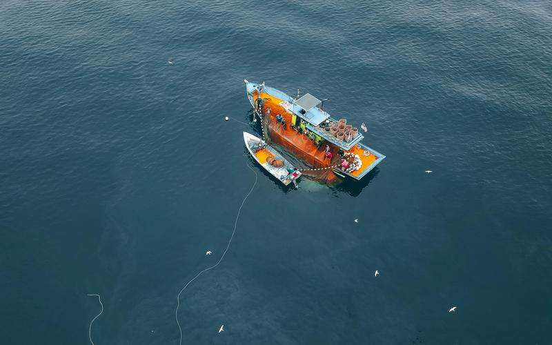 如何通過減少圖像處理步驟提高視覺檢測系統(tǒng)的實時性