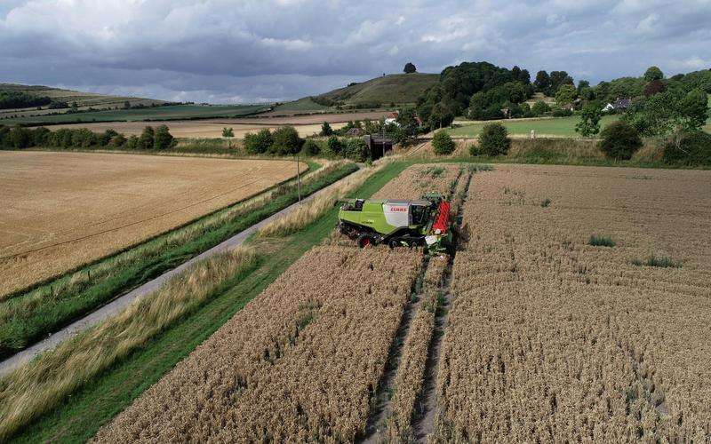 機器視覺在農作物成熟度檢測中的應用