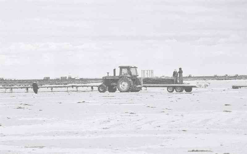 如何通過品檢機(jī)提升生產(chǎn)線的產(chǎn)能