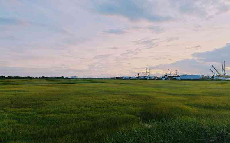 預(yù)算限制下，如何選擇視覺檢測相機(jī)的工業(yè)標(biāo)準(zhǔn)