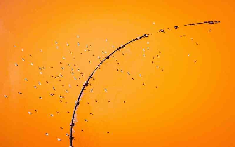 如何優(yōu)化瑕疵檢測(cè)儀的閾值以檢測(cè)復(fù)合材料薄膜