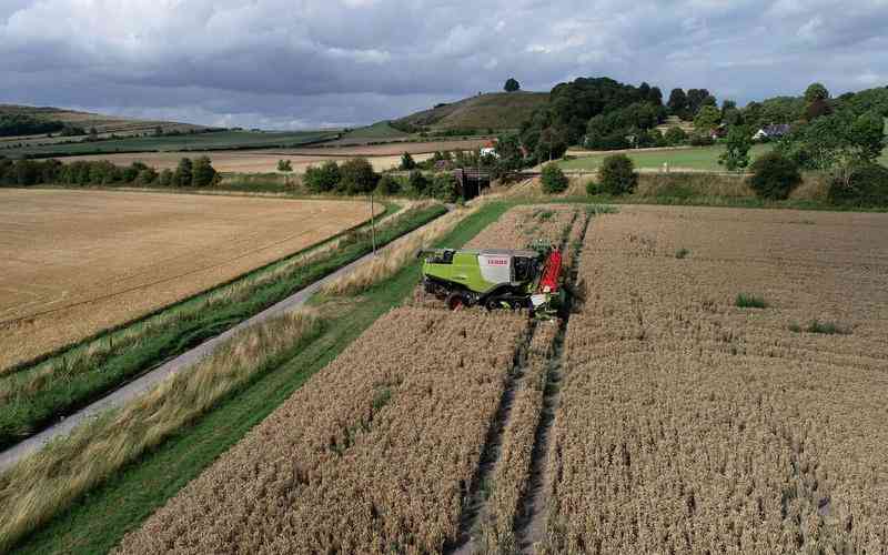 標簽品檢機的創(chuàng)新技術在生產(chǎn)流程中的應用效果如何