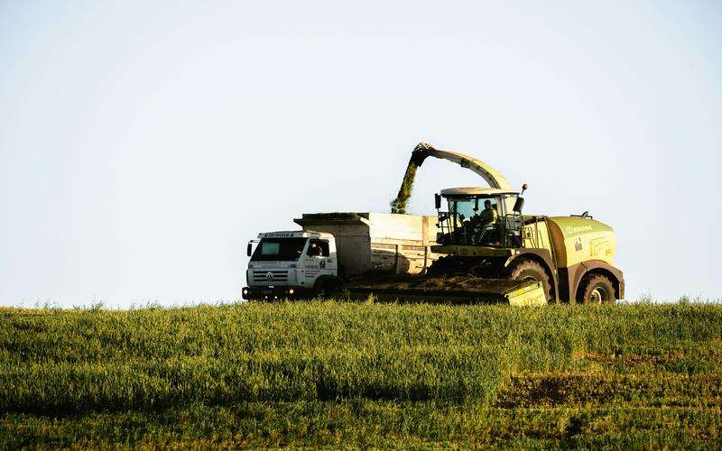 機(jī)器視覺如何與人工智能結(jié)合提升決策系統(tǒng)