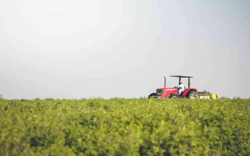 如何選擇適合的表面瑕疵檢測系統(tǒng)