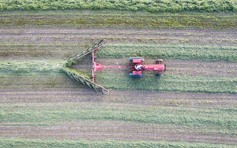 瑕疵檢測(cè)系統(tǒng)如何提升供應(yīng)鏈的透明度