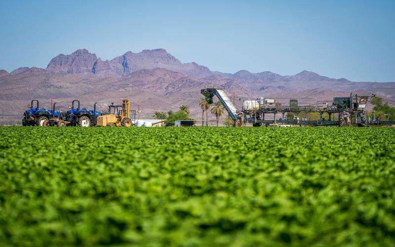 如何選擇適合制造業(yè)規(guī)模的缺陷檢測方案