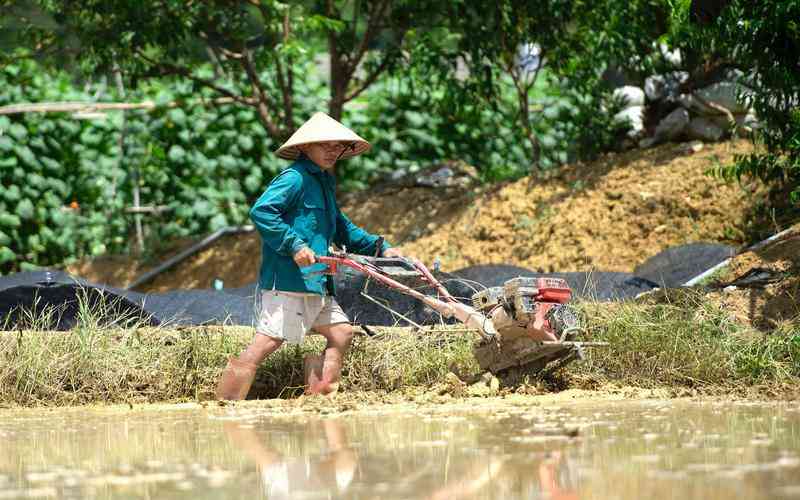 機(jī)器視覺(jué)在零售行業(yè)中的應(yīng)用是什么