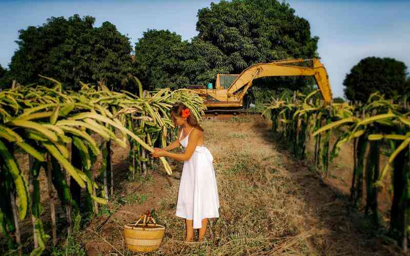 如何通過光流法”改進(jìn)機(jī)器視覺中的運動檢測