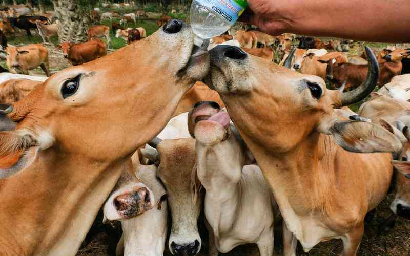 視覺品檢機的設備升級路徑是什么