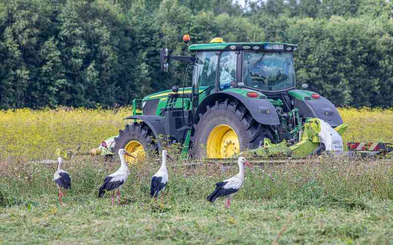 標(biāo)簽品檢機(jī)如何檢測(cè)標(biāo)簽的撕裂