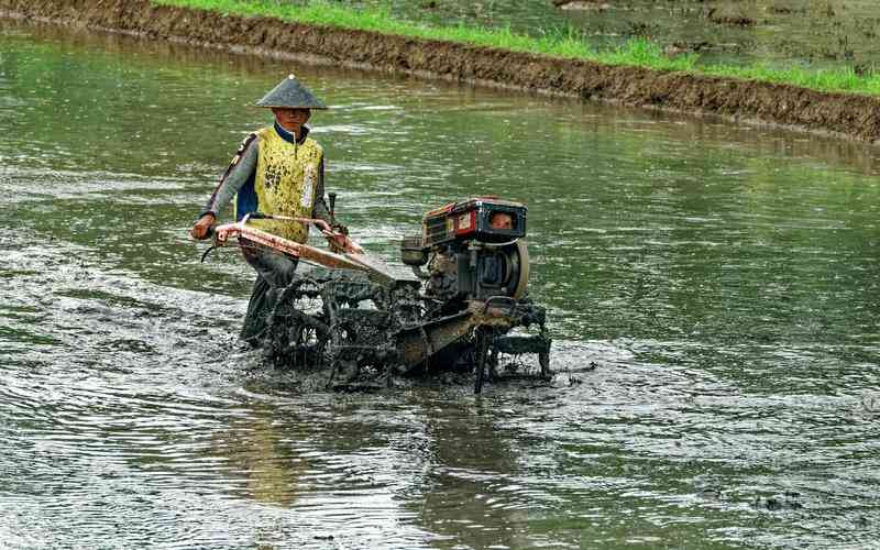 機(jī)器視覺在城市管理中的角色是什么
