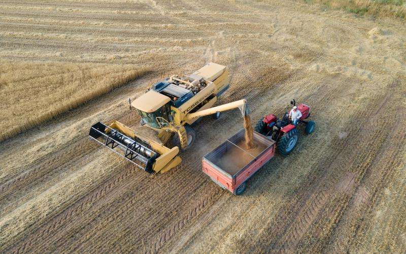 如何用機(jī)器視覺(jué)技術(shù)處理和分析古代紡織品