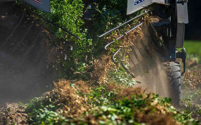 如何通過機(jī)器視覺技術(shù)提升零售業(yè)的客戶服務(wù)水平