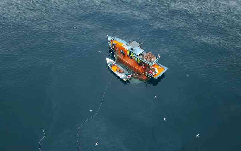 如何評(píng)估機(jī)器視覺(jué)系統(tǒng)的性能