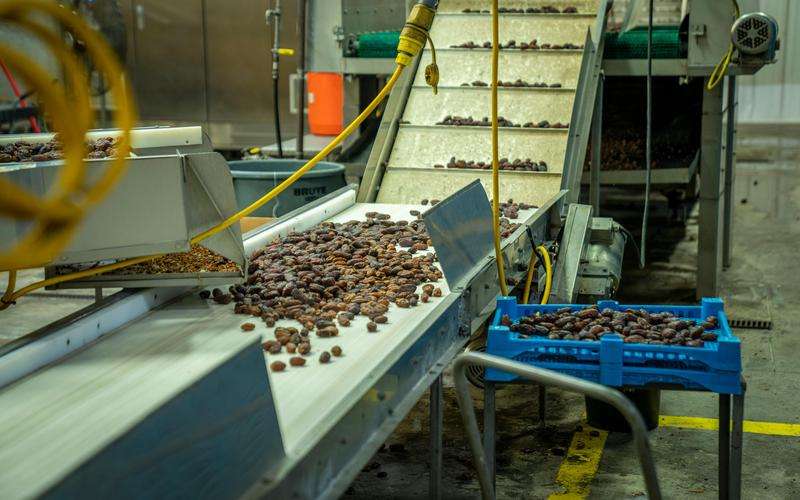 全自動外觀檢測機如何處理微小瑕疵