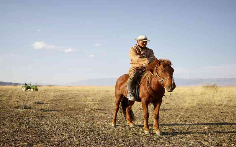 視覺檢測系統(tǒng)中鏡頭失真的修正是否影響系統(tǒng)的響應(yīng)時間