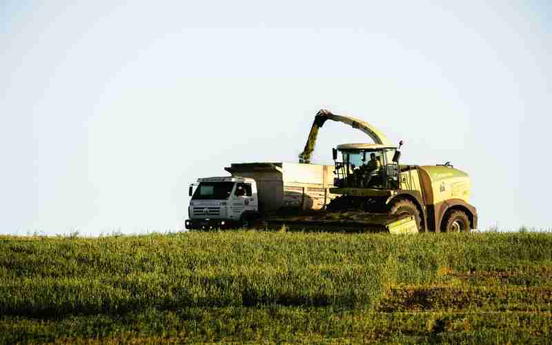 光學(xué)篩選機廠家—風(fēng)選篩選機