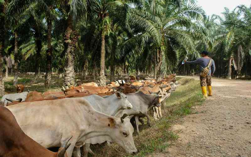 瑕疵檢測(cè)技術(shù)在食品行業(yè)中的應(yīng)用實(shí)例有哪些