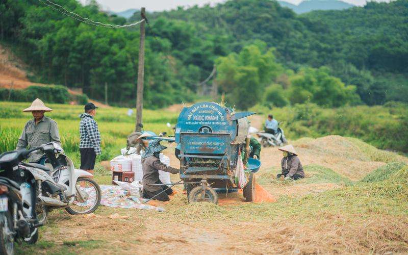 如何在視覺(jué)檢測(cè)中應(yīng)用人工智能技術(shù)