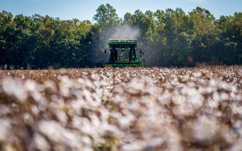 Omron機器視覺系統(tǒng)的性能評估標(biāo)準(zhǔn)有哪些