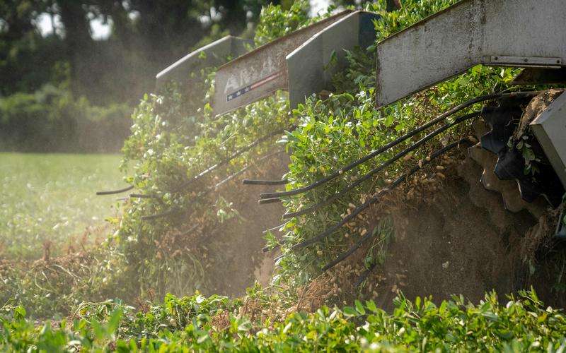 如何優(yōu)化表面瑕疵檢測算法的訓(xùn)練時間