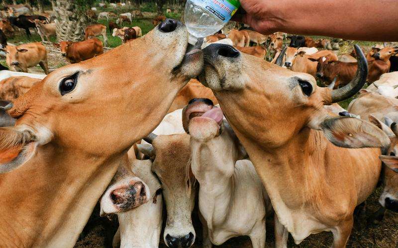 機(jī)器視覺(jué)如何提高陶瓷產(chǎn)品的質(zhì)量控制