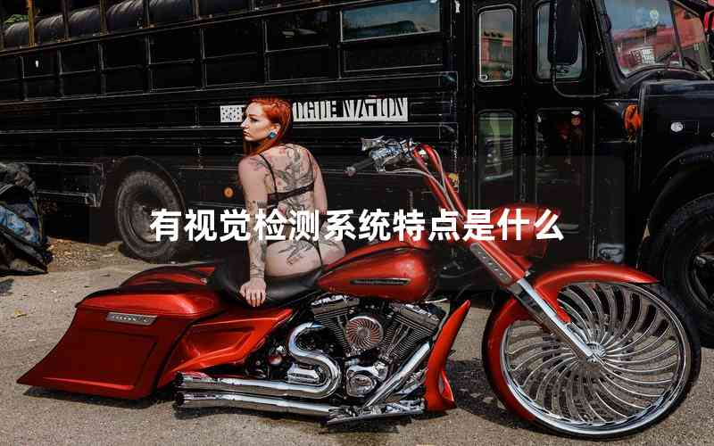 有視覺(jué)檢測(cè)系統(tǒng)特點(diǎn)是什么