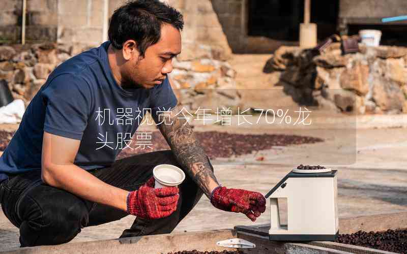 機(jī)器視覺(jué)今年增長(zhǎng)70%龍頭股票