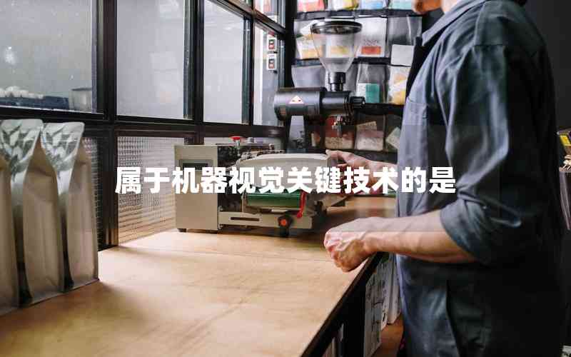 屬于機(jī)器視覺關(guān)鍵技術(shù)的是